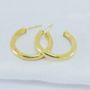 Argola tubo liso dourado