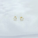 Brinco ponto de luz pequeno