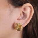 Brinco fixo ponto aramado