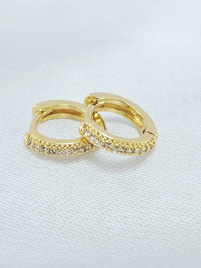 Brinco argolinha ivo pita cravejado