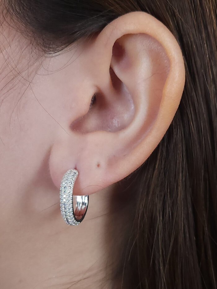 Argola cravejado detalhado