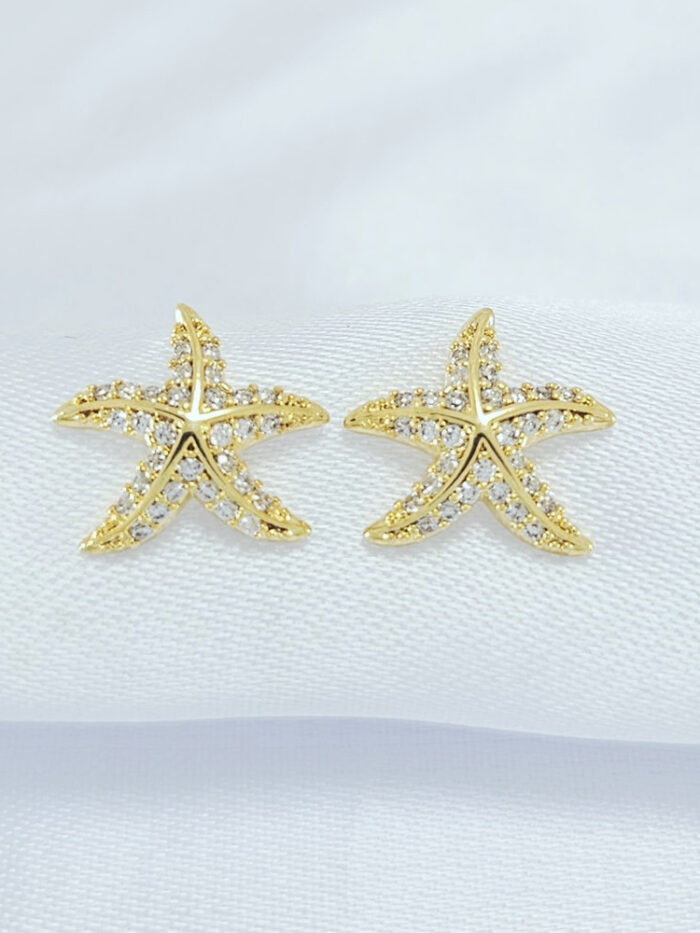 Brinco estrela cravejada