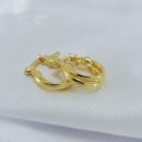 Argola fio duplo liso e detalhado