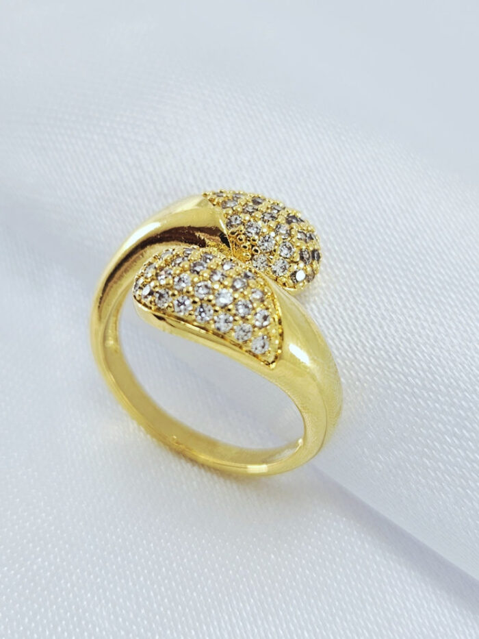 Anel dois fios cravejado borda lisa