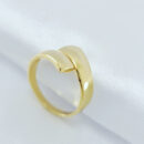 Anel dois fios lisos