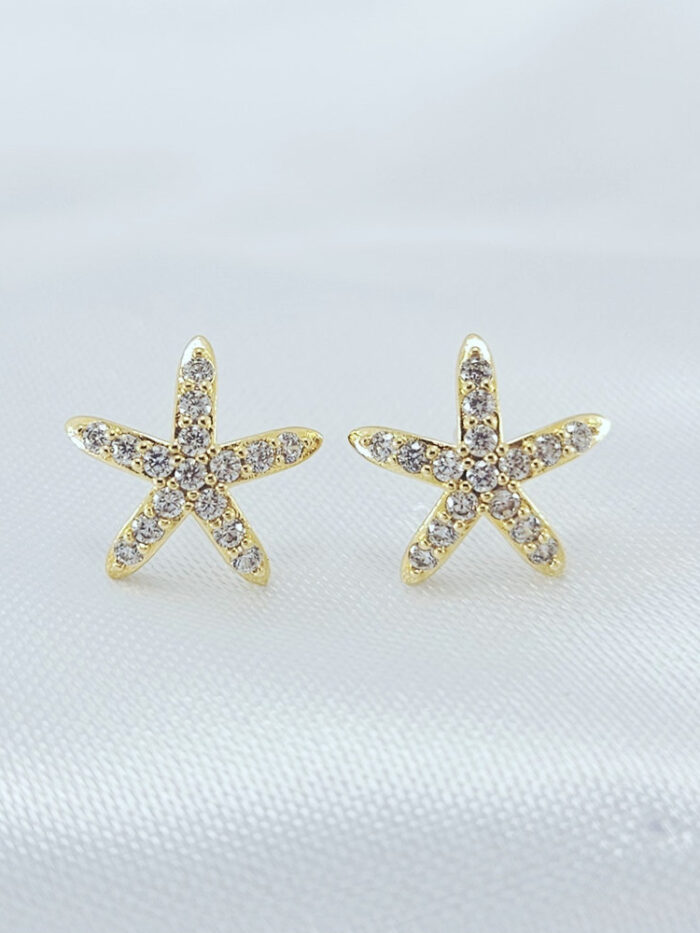 Brinco estrela cravejado