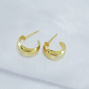 Brinco argola fio liso boleada