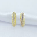 Brinco curvado cravejado