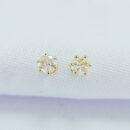 Brinco modelo ponto de luz