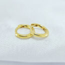 Brinco estilo argolinha