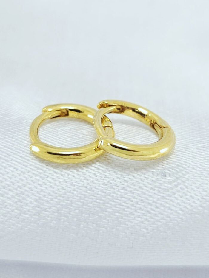 Brinco estilo argolinha