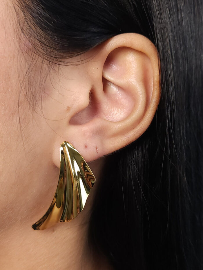 Brinco asas detalhado chapeado