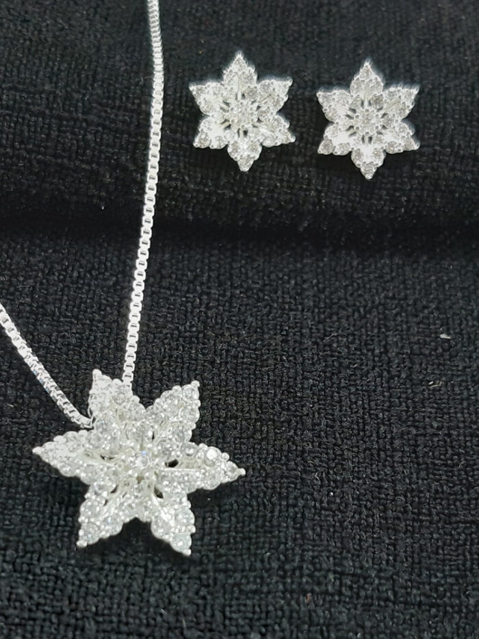 Conjunto flor cravejada prateada