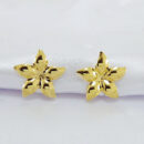 Brinco modelo flor dourado