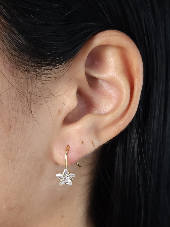 Brinco gancho detalhe estrela cristal