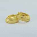 Brinco argola detalhada