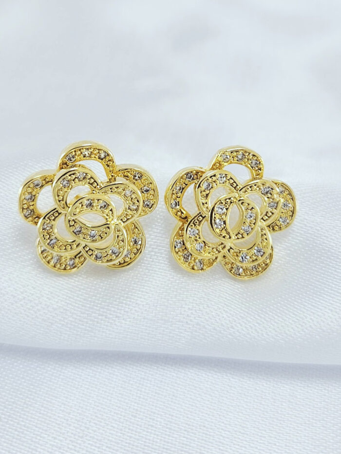 Brinco cravejado detalhado vazado