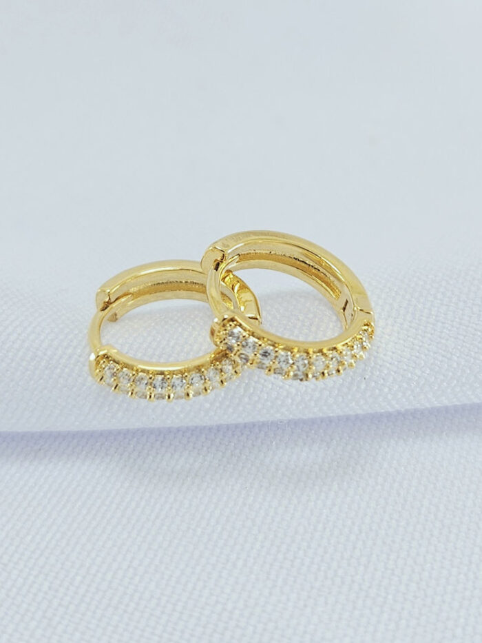 Brinco argolinha fio duplo cravejado