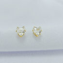 Brinco ponto de luz formato coração