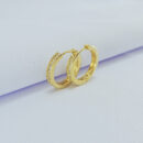 Argola borda lisa detalhe cravejado central