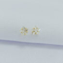 Brinco cristal modelo estrela