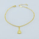 Pulseira pingente N.S Aparecida